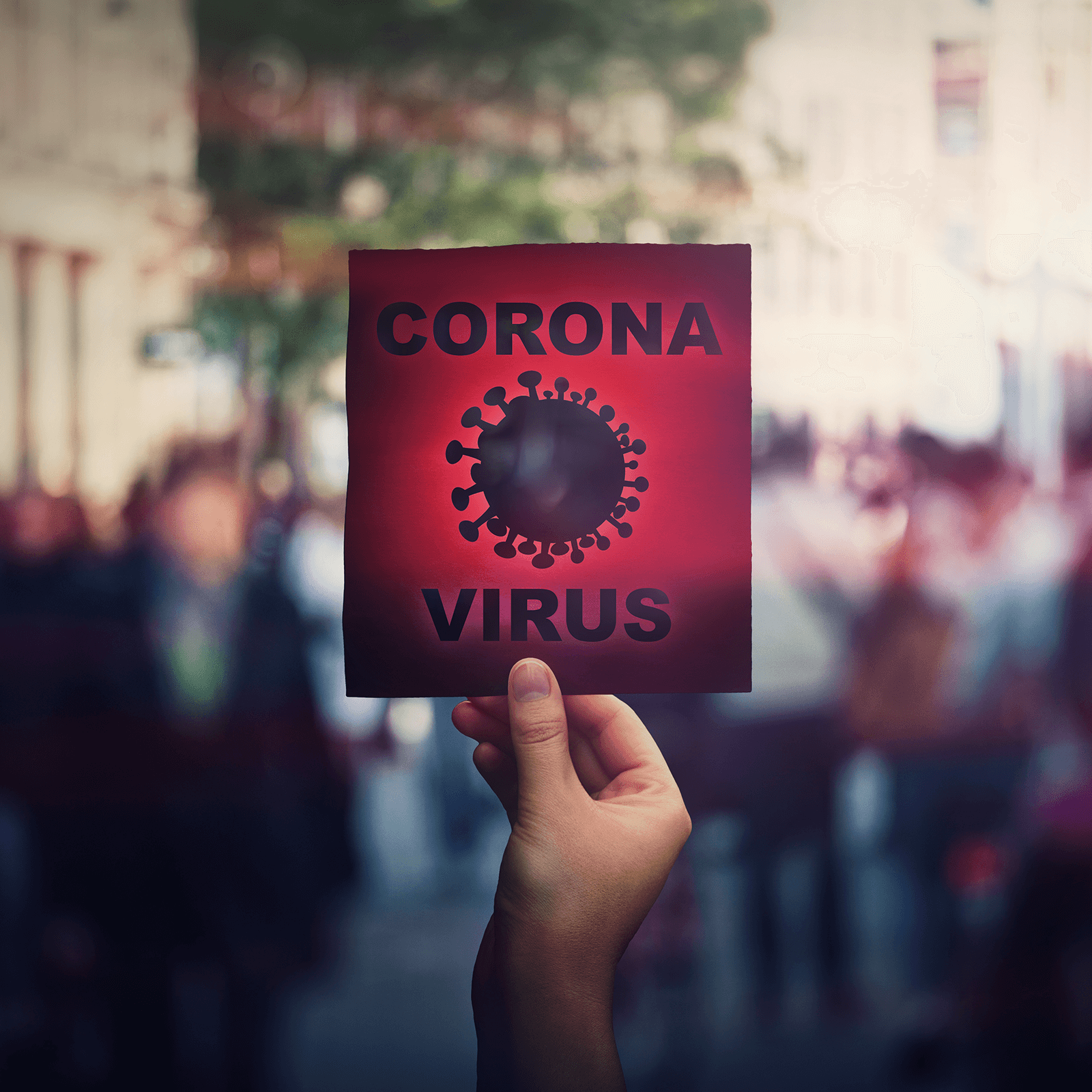 Das Corona Virus